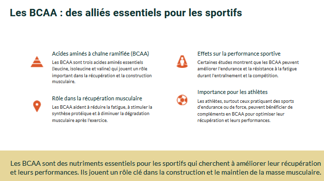 Les BCAA c'est quoi?