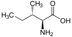 isoleucine supplément