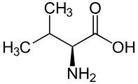 valine supplément alimentaire